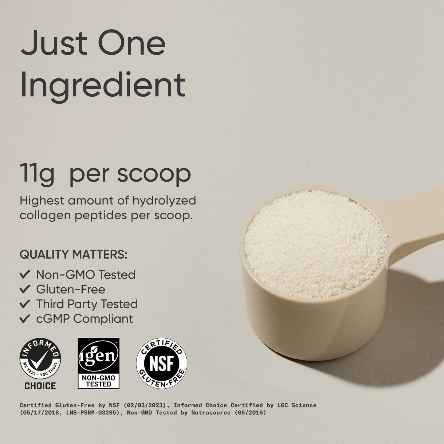 Sports Research, Peptides de collagène en poudre, 454 g