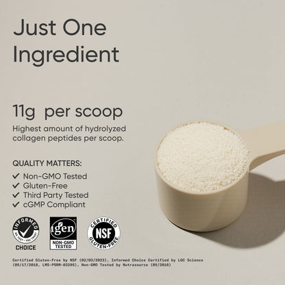 Sports Research, Peptides de collagène en poudre, 454 g