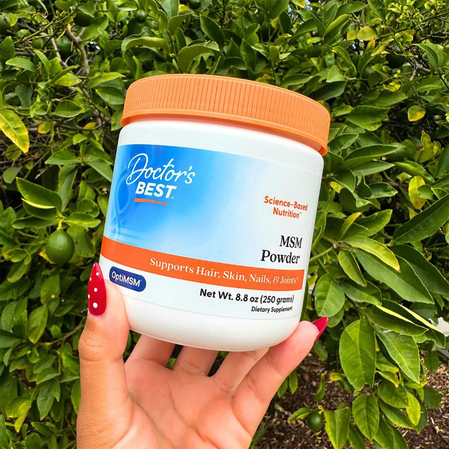 Doctor’s Best MSM en poudre, 250 grammes